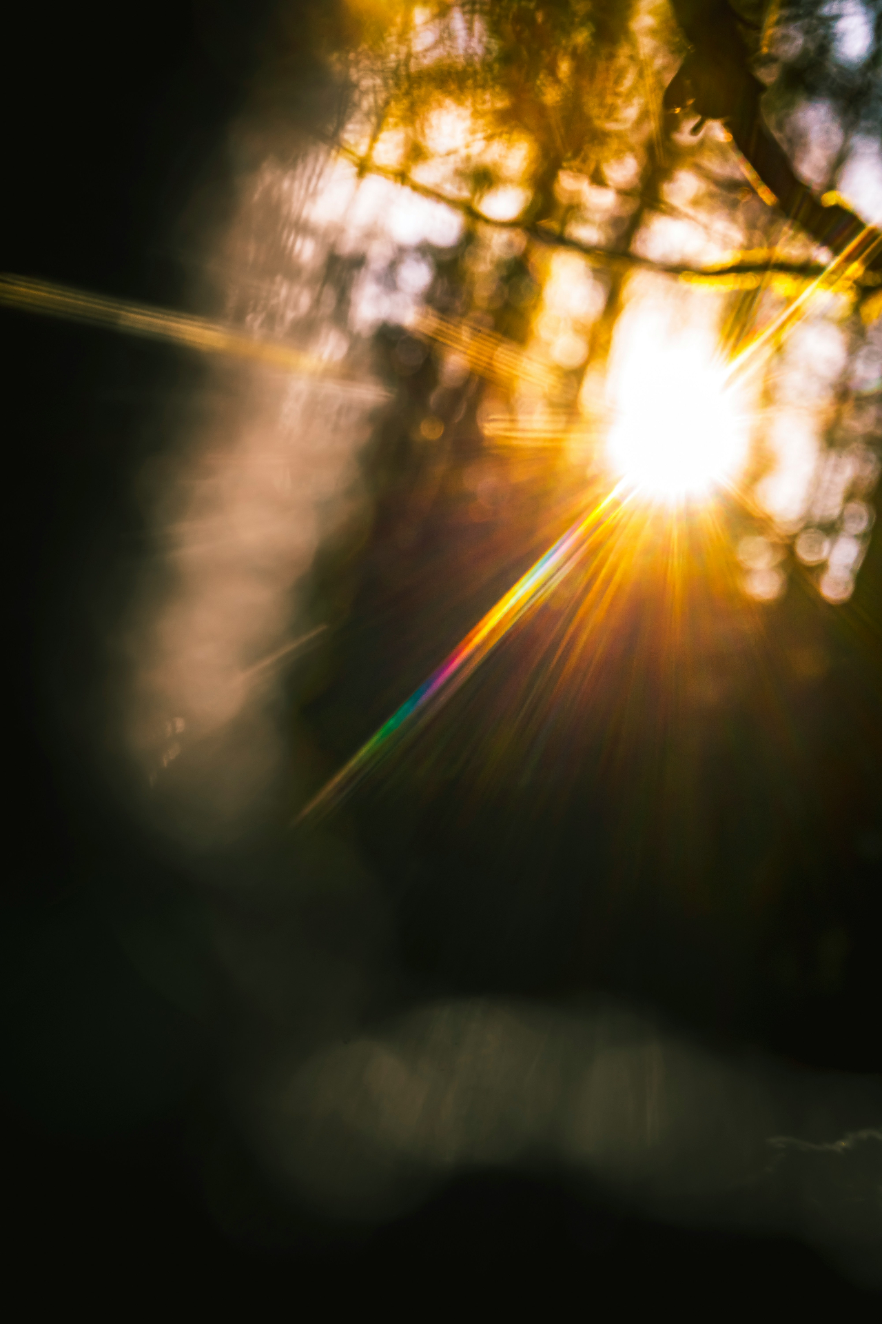 A warm, softly lit natural landscape at golden hour, offering a sense of arrival and calm.